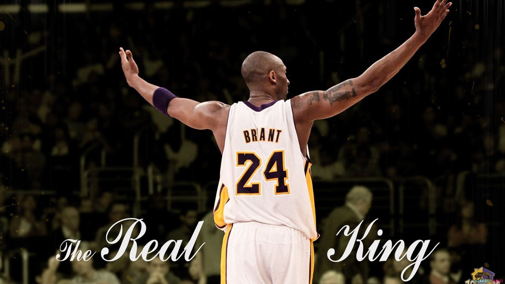 乔·波尔曼展现球场全能表现，成为袋鼠队中流砥柱，nba乔尔博罗姆博伊